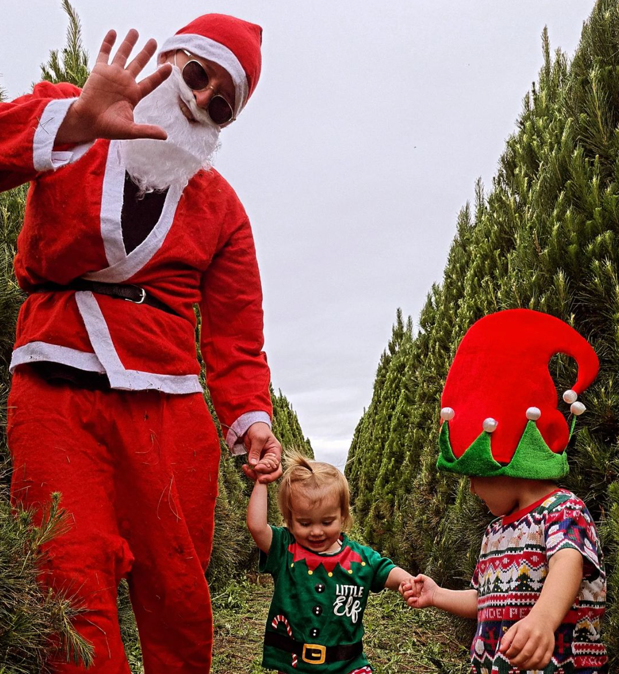 XXL Christmas Tree | 8.5 Foot